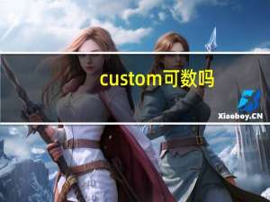custom可数吗