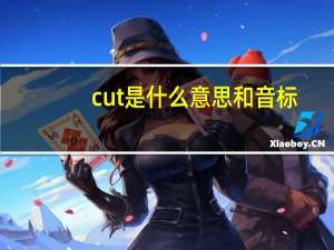 cut是什么意思和音标（cut是什么意思）