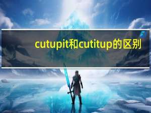 cut up it和cut it up的区别