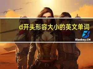 d开头形容大小的英文单词