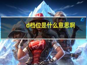 d档位是什么意思啊