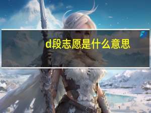 d段志愿是什么意思