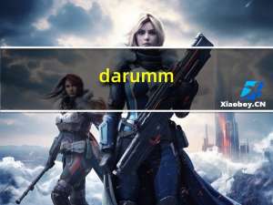 darumm（Daruma 1.0简介）