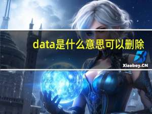 data是什么意思可以删除（data是什么意思）