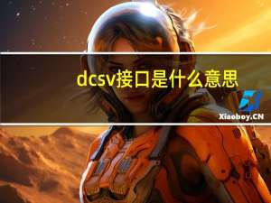 dcsv接口是什么意思