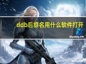 ddb后缀名用什么软件打开（ddb文件用什么软件打开）