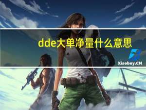 dde大单净量什么意思