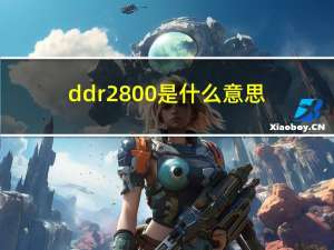 ddr2800是什么意思（ddr2800）