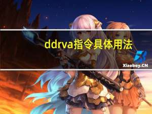 ddrva指令具体用法