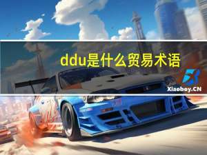 ddu是什么贸易术语（ddu）