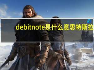 debit note是什么意思特斯拉