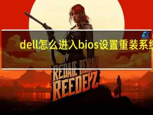 dell怎么进入bios设置重装系统（dell怎么进入bios）