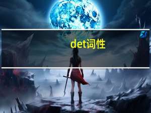 det词性