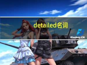 detailed名词