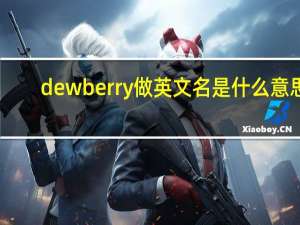 dewberry做英文名是什么意思？