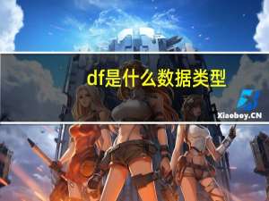 df是什么数据类型