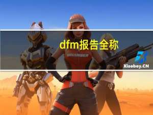 dfm报告全称