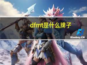 dfmt是什么牌子