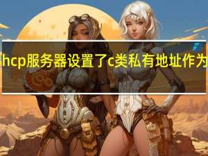 dhcp服务器设置了c类私有地址作为地址池（dhcp服务器设置）