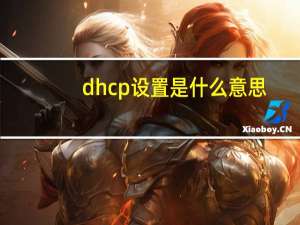 dhcp设置是什么意思（dhcp设置）