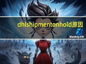 dhl shipment on hold 原因