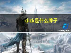 dick是什么牌子