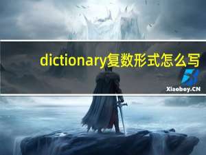 dictionary复数形式怎么写