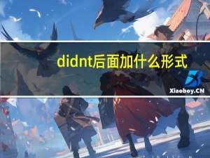 didn t后面加什么形式