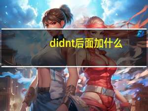 didnt后面加什么