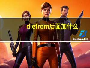 die from后面加什么