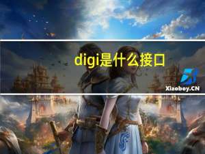 digi是什么接口（低gi是什么意思）
