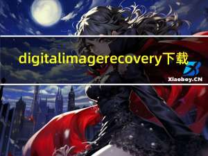 digitalimagerecovery下载（digital image recovery）