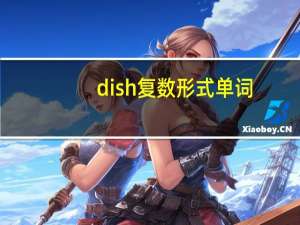 dish复数形式单词