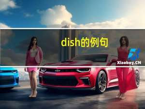dish的例句