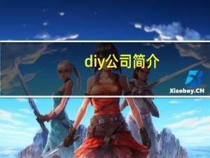 diy公司简介