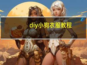 diy小狗衣服教程