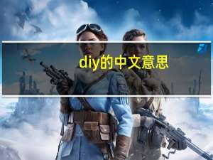 diy的中文意思