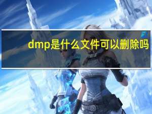 dmp是什么文件可以删除吗（DMP是什么文件 有什么用）