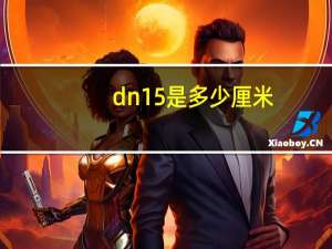 dn15是多少厘米