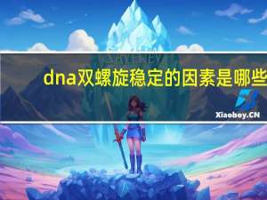 dna双螺旋稳定的因素是哪些