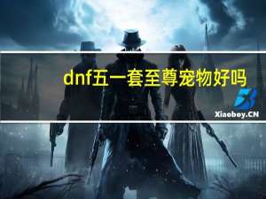 dnf五一套至尊宠物好吗