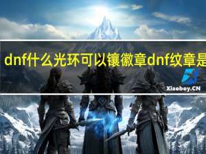 dnf什么光环可以镶徽章 dnf纹章是什么