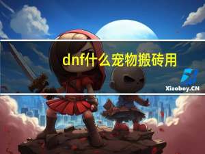 dnf什么宠物搬砖用
