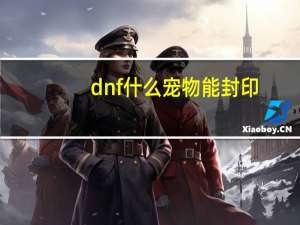 dnf什么宠物能封印