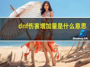 dnf伤害增加量是什么意思