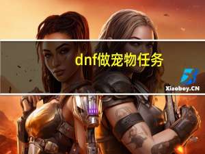 dnf做宠物任务