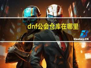 dnf公会仓库在哪里（dnf公会仓库在哪）