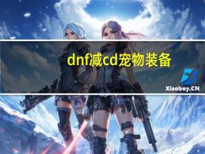 dnf减cd宠物装备
