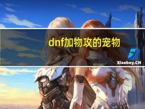 dnf加物攻的宠物