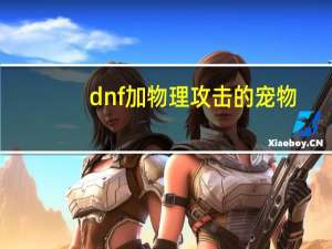 dnf加物理攻击的宠物
